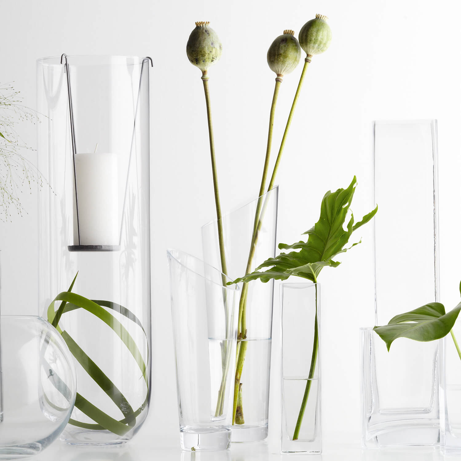Verschiedene klare Glasvasen mit Blumen und Knospen arrangiert