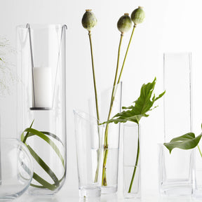 Verschiedene klare Glasvasen mit Blumen und Knospen arrangiert