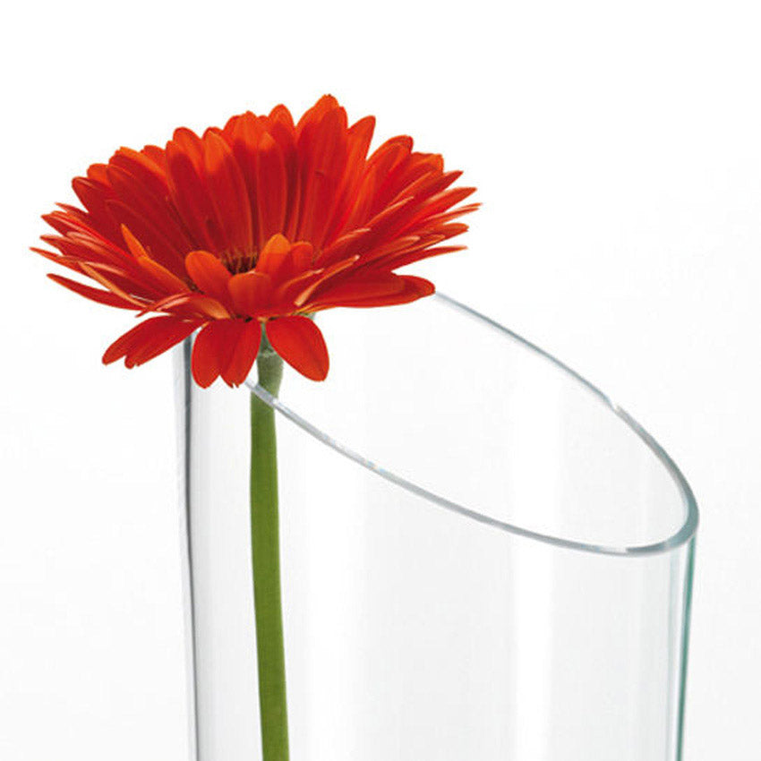 Bodenvase DYNAMIC mit roter Gerbera in klarem Glas