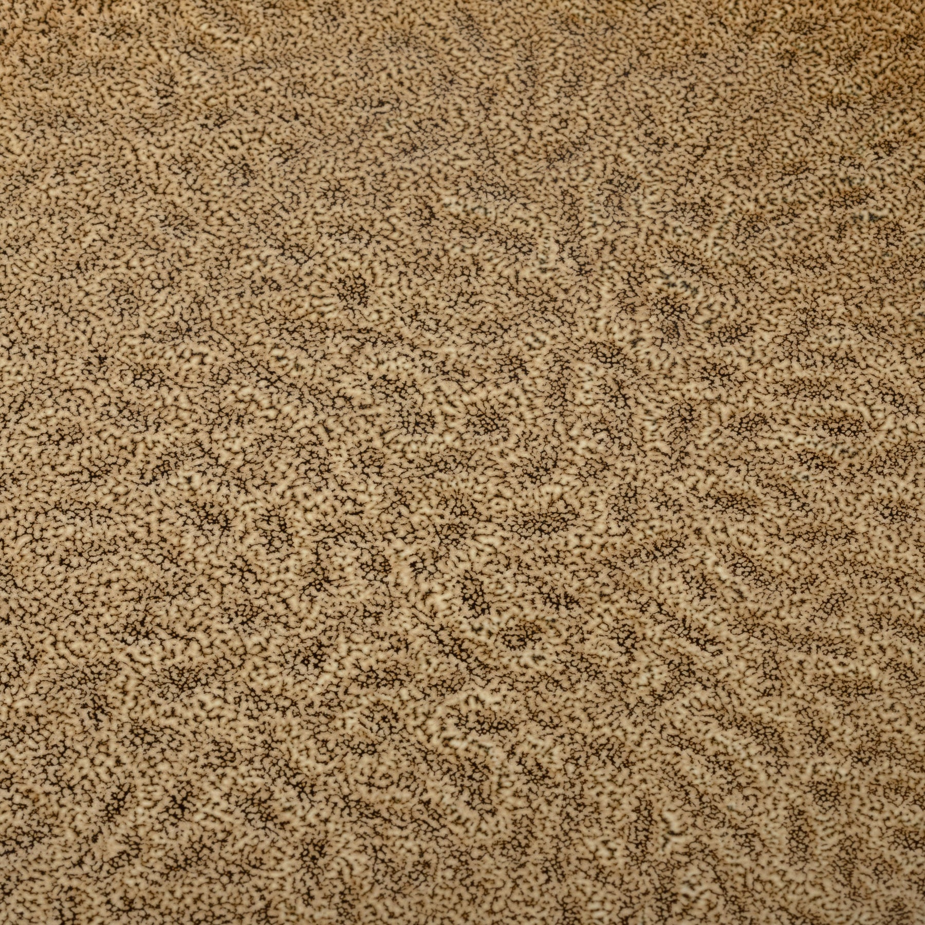 Keramikteller MATERA 27 cm beige, Oberflächenstruktur in Nahaufnahme