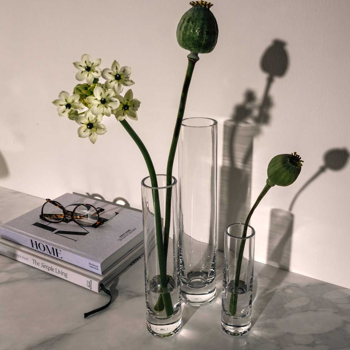 Solifleurgläser NOVARA mit weißen Blüten und grünen Samenkapseln auf Tisch mit Büchern und Brille