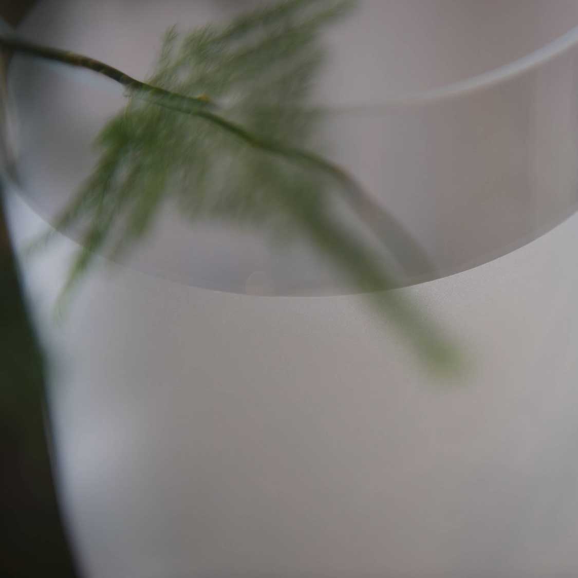 Vase NOVARA mit Gräsern in Wasser gefüllt, satinierte Glasoberfläche