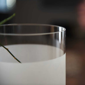 Vase NOVARA mit Wasser gefüllt, Pflanzenstiel darin, satinierte Glasoberfläche