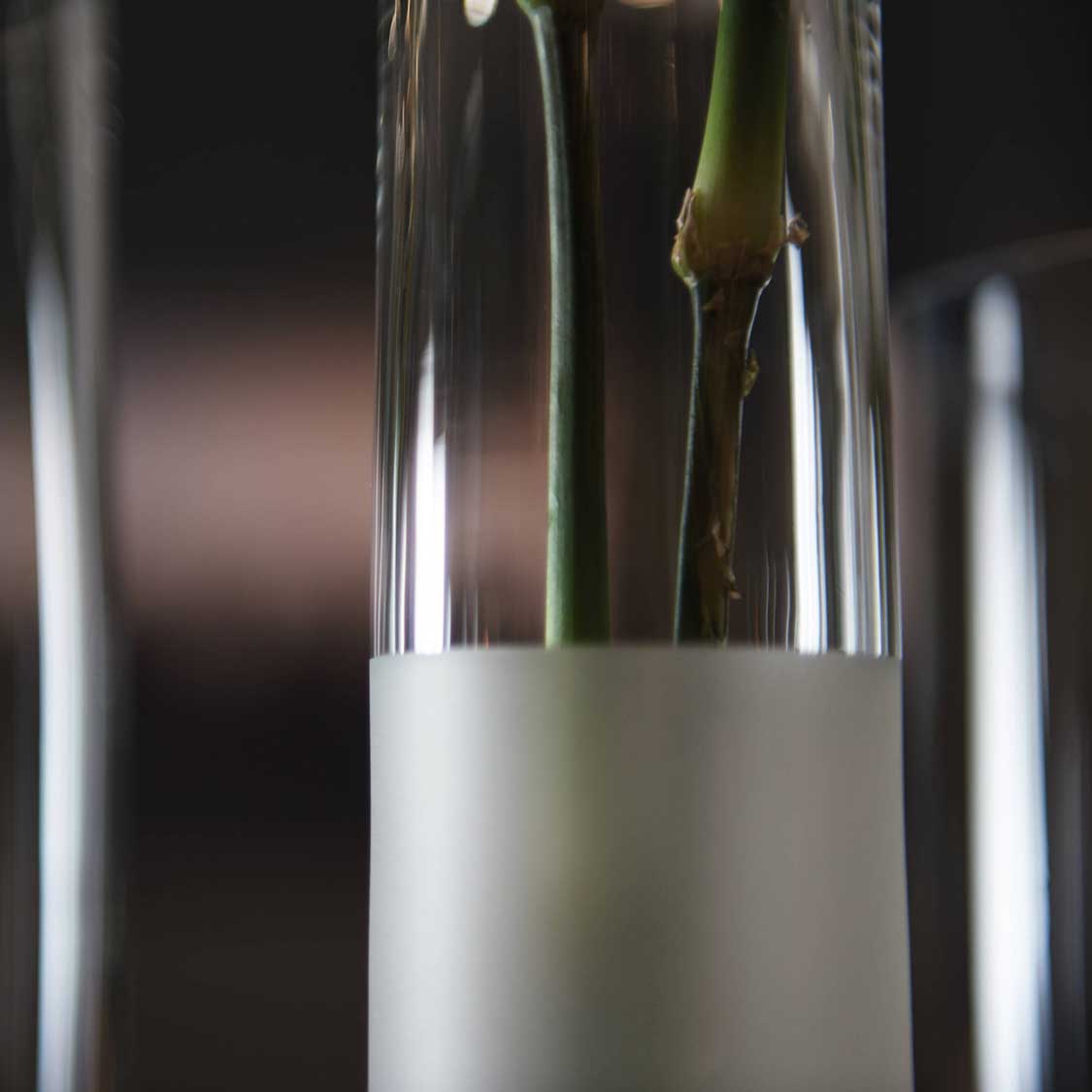 Solifleurvase NOVARA mit satinierter Oberflaeche und Bluetenzweigen, Detailaufnahme der Glasoberflaeche