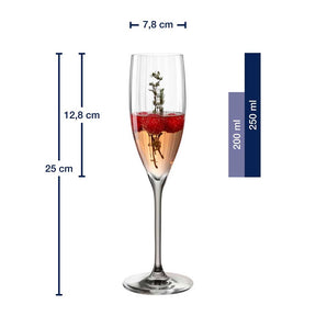 Massangaben zum Sektglas POESIA 250 ml grau mit Blume und Flüssigkeit gefüllt