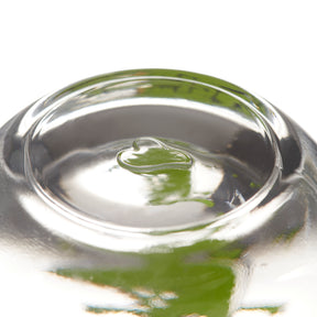 Glastasse mit grünem Krokodil-Motiv, gefüllt mit Wasser