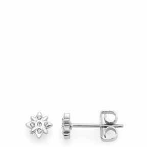 Ohrstecker CAMPAGNOLA silber mit Sternform und Zirkonia auf weißem Hintergrund