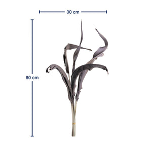 Massangaben zu Strelizienblätter FIORE 80 cm taupe 5er-Set
