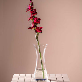Vase GIA mit roten Gladiolen auf grauem Untergrund vor rosa Hintergrund