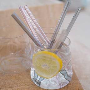 Glastrinkhalme in Glas mit Zitronenscheibe und Eiswürfeln, Getränkesituation