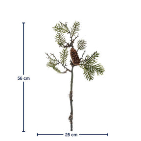 Massangaben zum Pinienzweig 56cm AUTENTICO