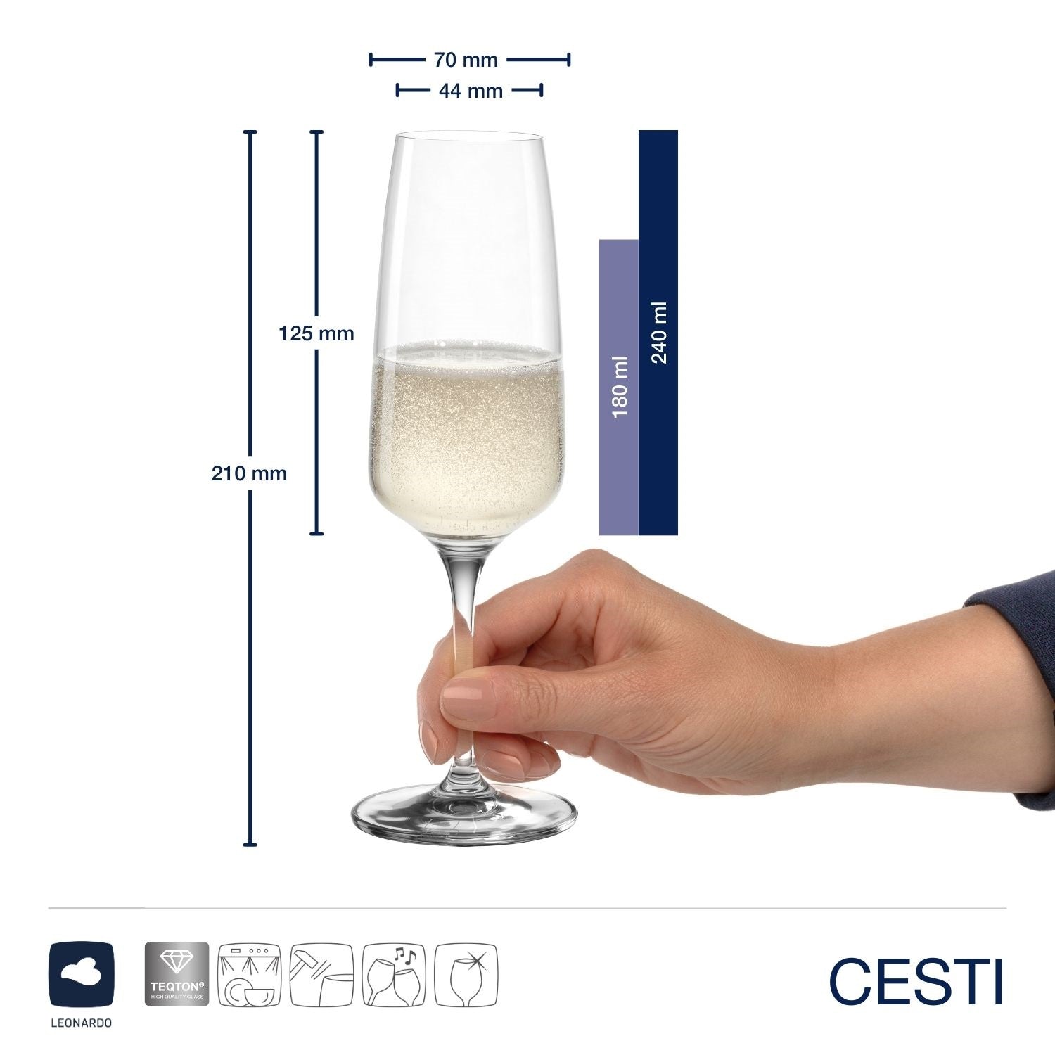 Sektglas CESTI mit Champagner in Hand, Massangaben zum Sektglas CESTI 240 ml