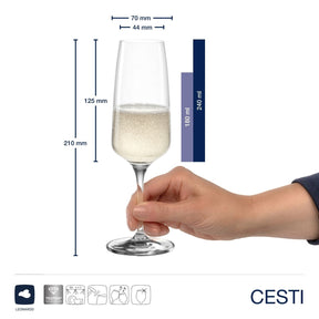 Sektglas CESTI mit Champagner in Hand, Massangaben zum Sektglas CESTI 240 ml