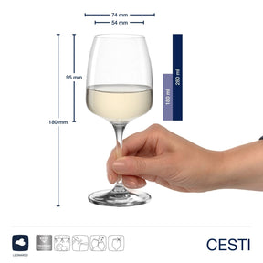 Rieslingglas CESTI mit Weißwein, Hand hält Glas, Massangaben