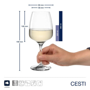 Weißweinglas CESTI mit Massangaben, Hand haltend, gefüllt mit Weißwein