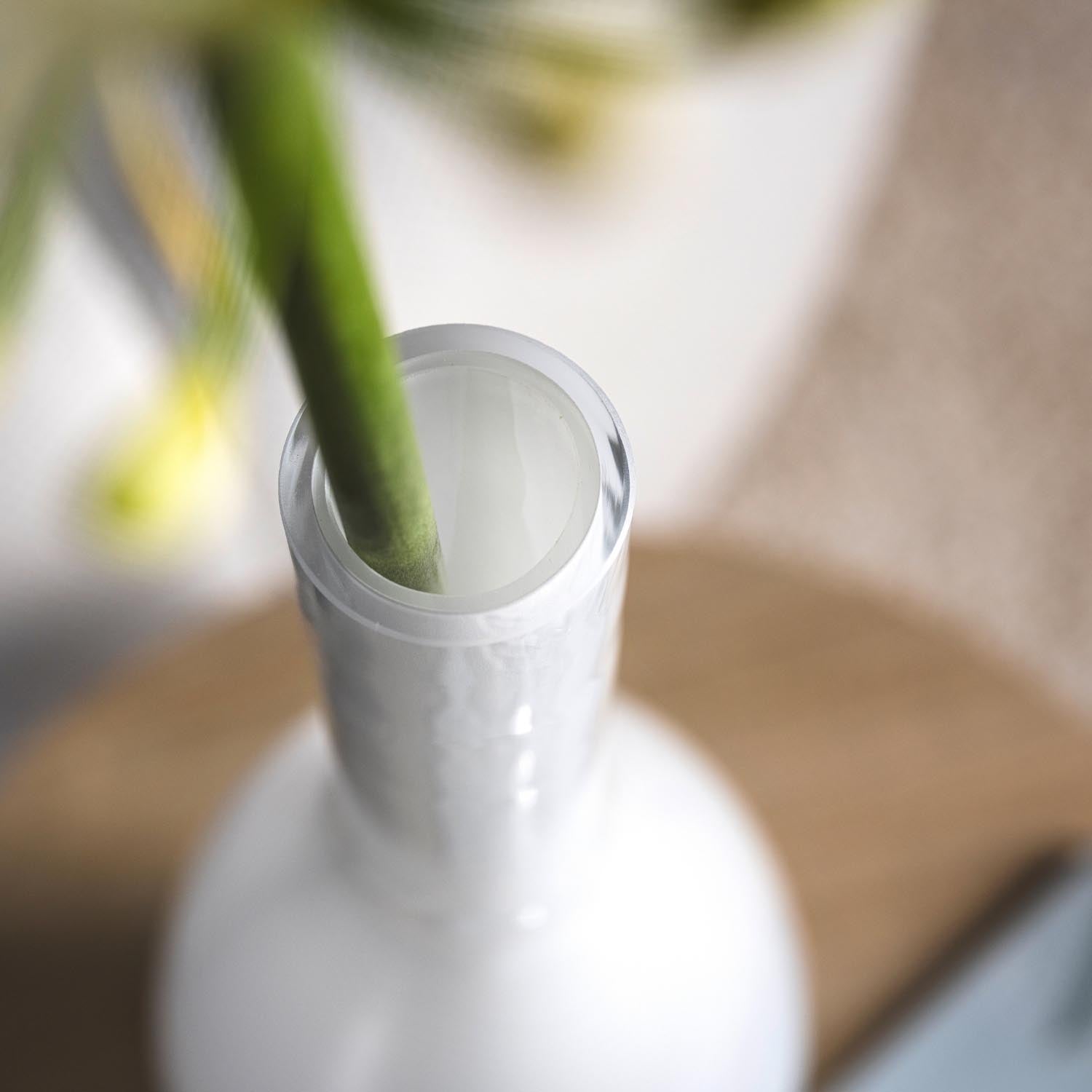 Weiße Vase BEAUTY mit grünem Pflanzenstiel in Innenraum