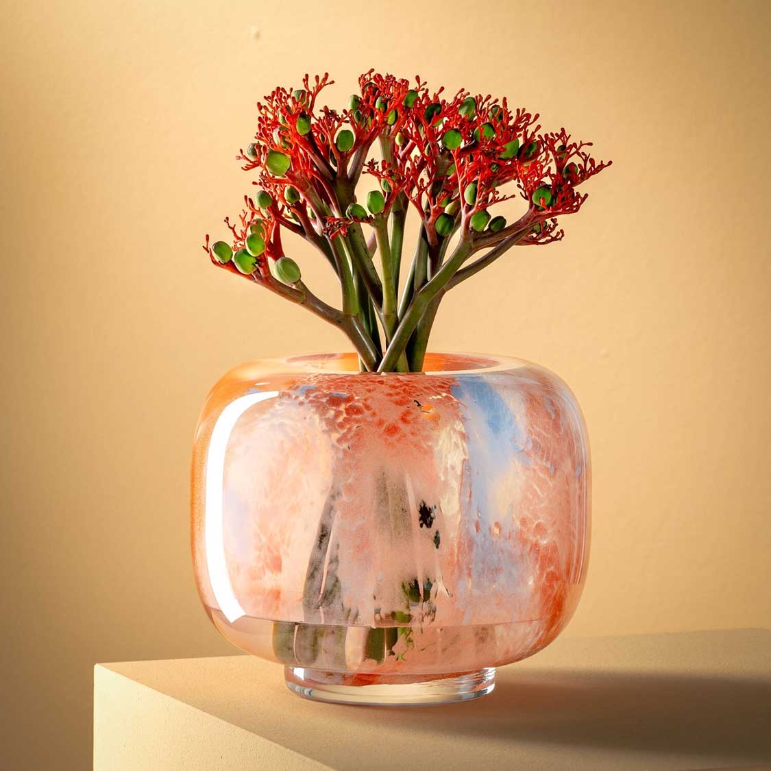 Vase CIPRIA DUE mit roten Blüten auf beigem Hintergrund