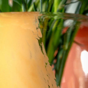 Vase CIPRIA DUE mit Gräsern, Glasoberfläche im Detail, apricot-farbenes Glas