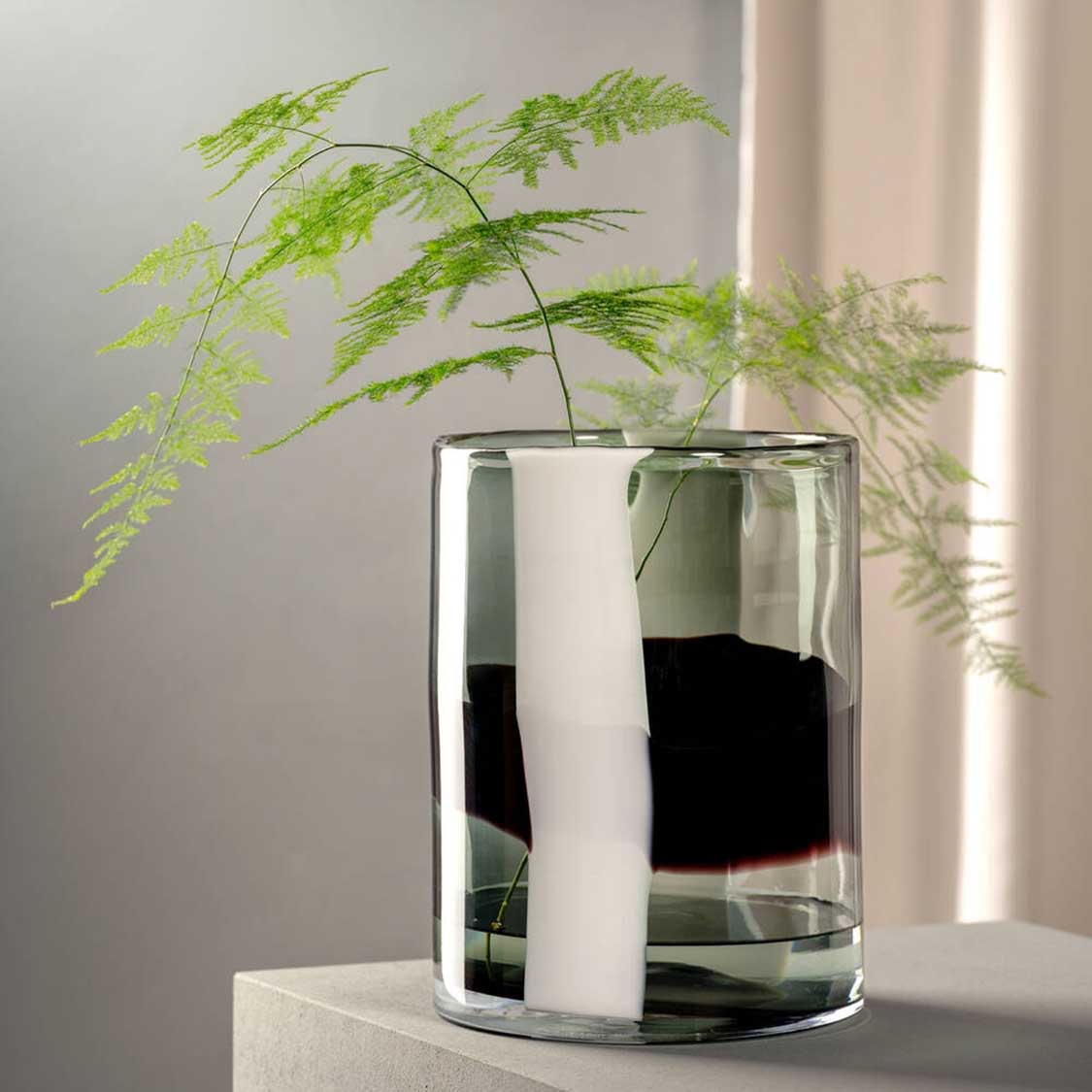 Vase BANDA NERA mit schwarzem Streifen, gefüllt mit Wasser und grünen Farnzweigen, auf hellem Untergrund