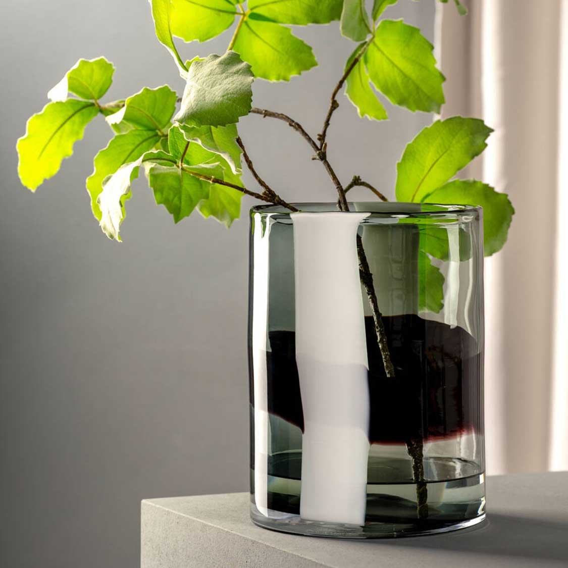 Vase BANDA NERA mit schwarzem Streifen, gefüllt mit Wasser und Pflanzenzweigen