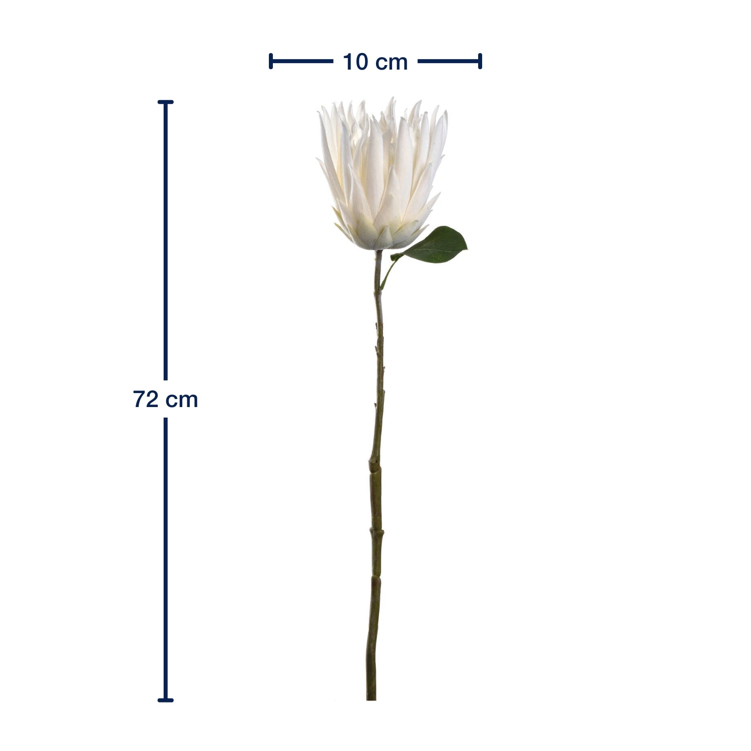 Massangaben zu Prothea FIORE 72 cm weiß