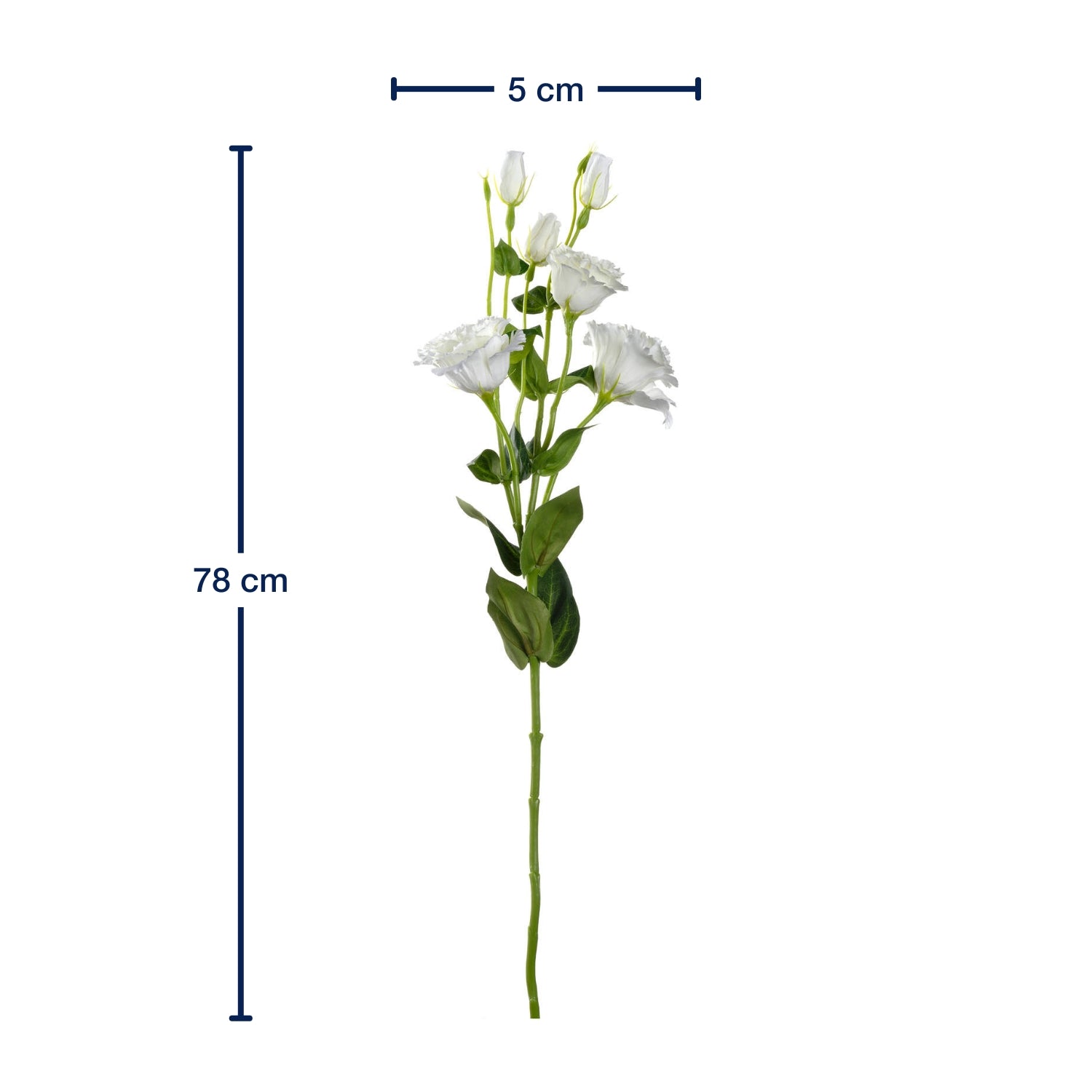 Massangaben zu Lysianthus FIORE 78 cm weiß