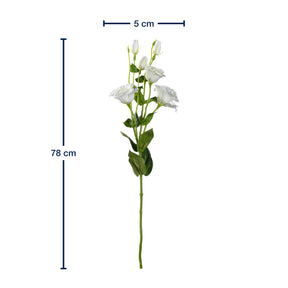 Massangaben zu Lysianthus FIORE 78 cm weiß