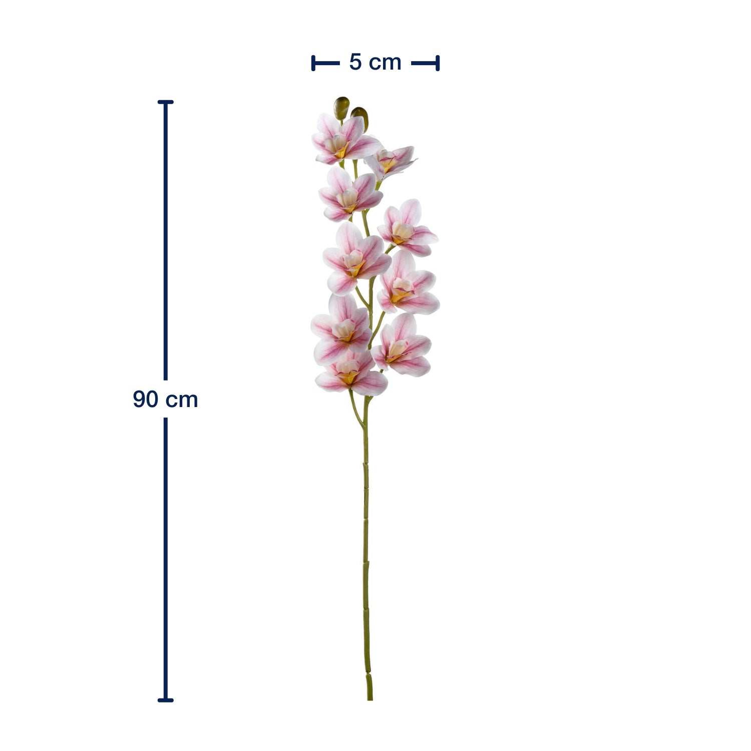 Massangaben zu Orchidee FIORE 90 cm pink
