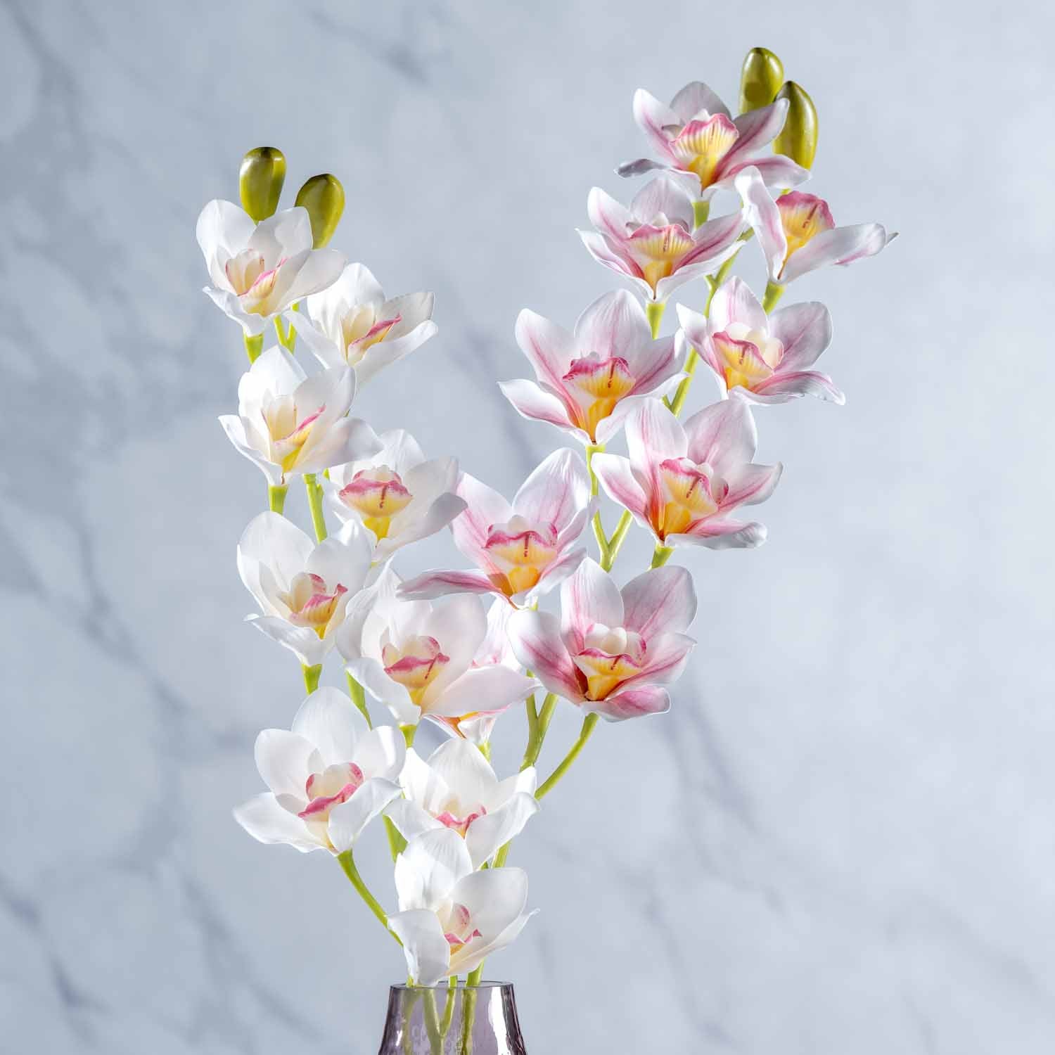 Orchidee FIORE in rosa und weiß in Glasvase vor grauem Hintergrund