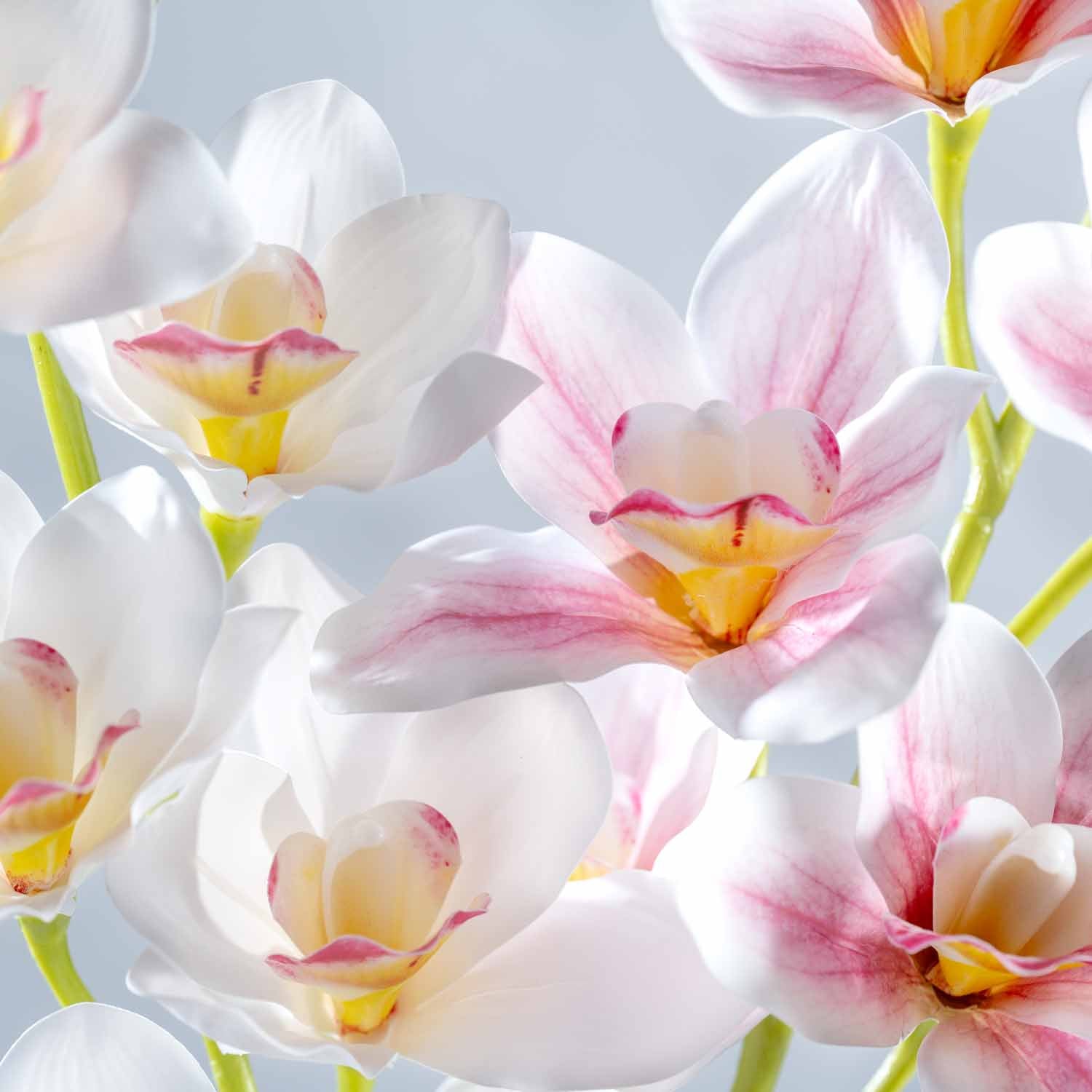 Orchidee FIORE 90 cm pink mit weißen und rosa Blüten, grüne Stiele