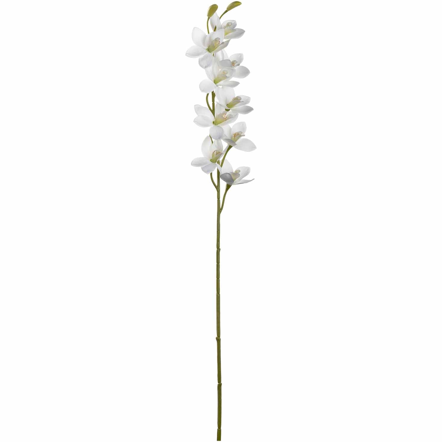 Weiße künstliche Orchidee mit grünem Stiel auf weißem Hintergrund