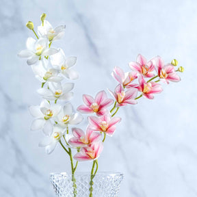 Orchidee FIORE in Weiß und Rosa in transparenter Glasvase vor hellem Hintergrund
