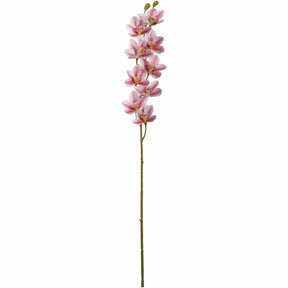 Orchidee FIORE pink mit Blüten und grünem Stiel vor weißem Hintergrund