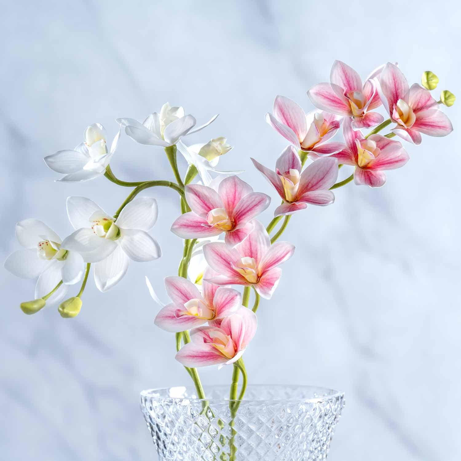 Orchidee FIORE pink und weiß in Glarvase vor marmoriertem Hintergrund