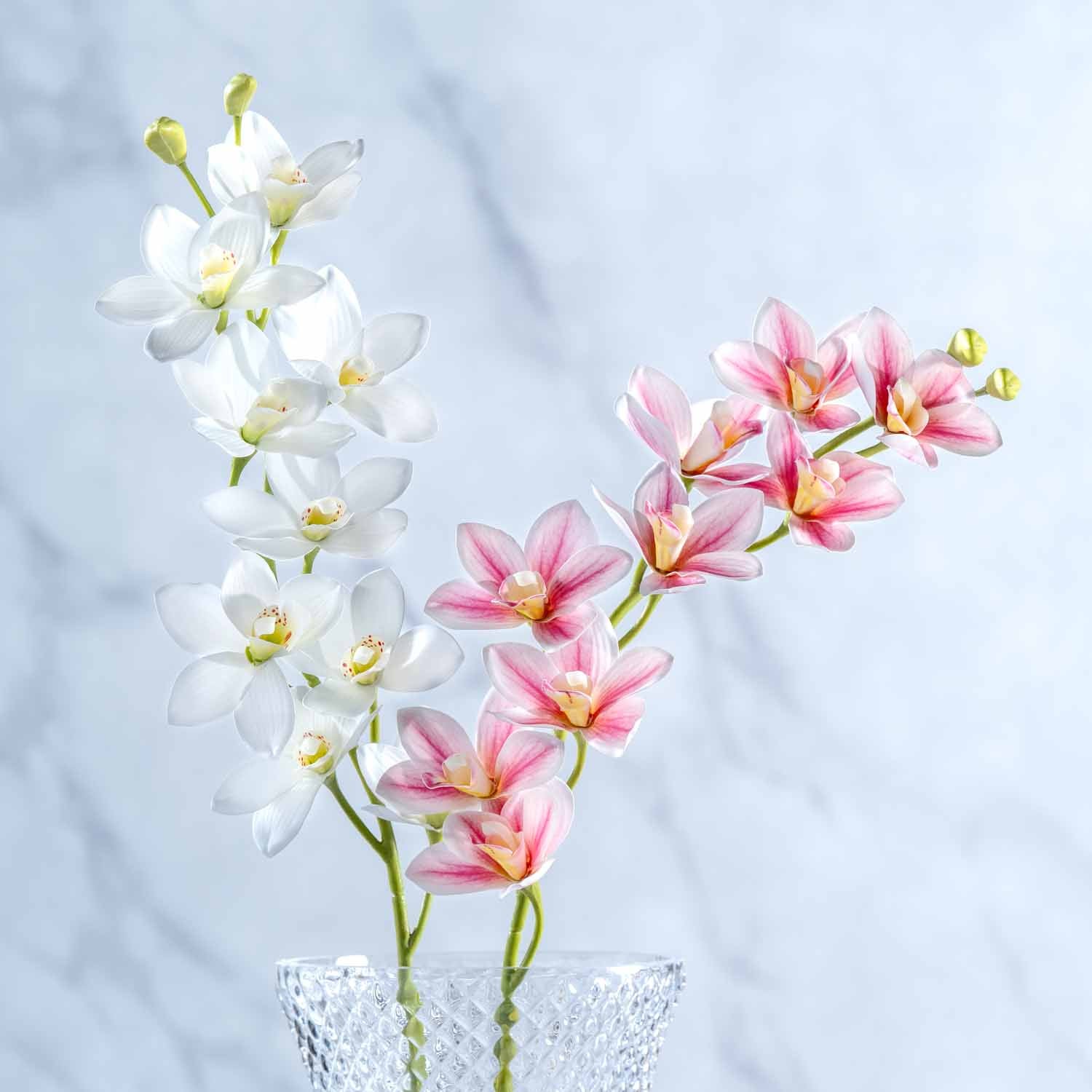 Orchidee FIORE in pink und weiß in Gleisvase, vor hellgrauem Hintergrund