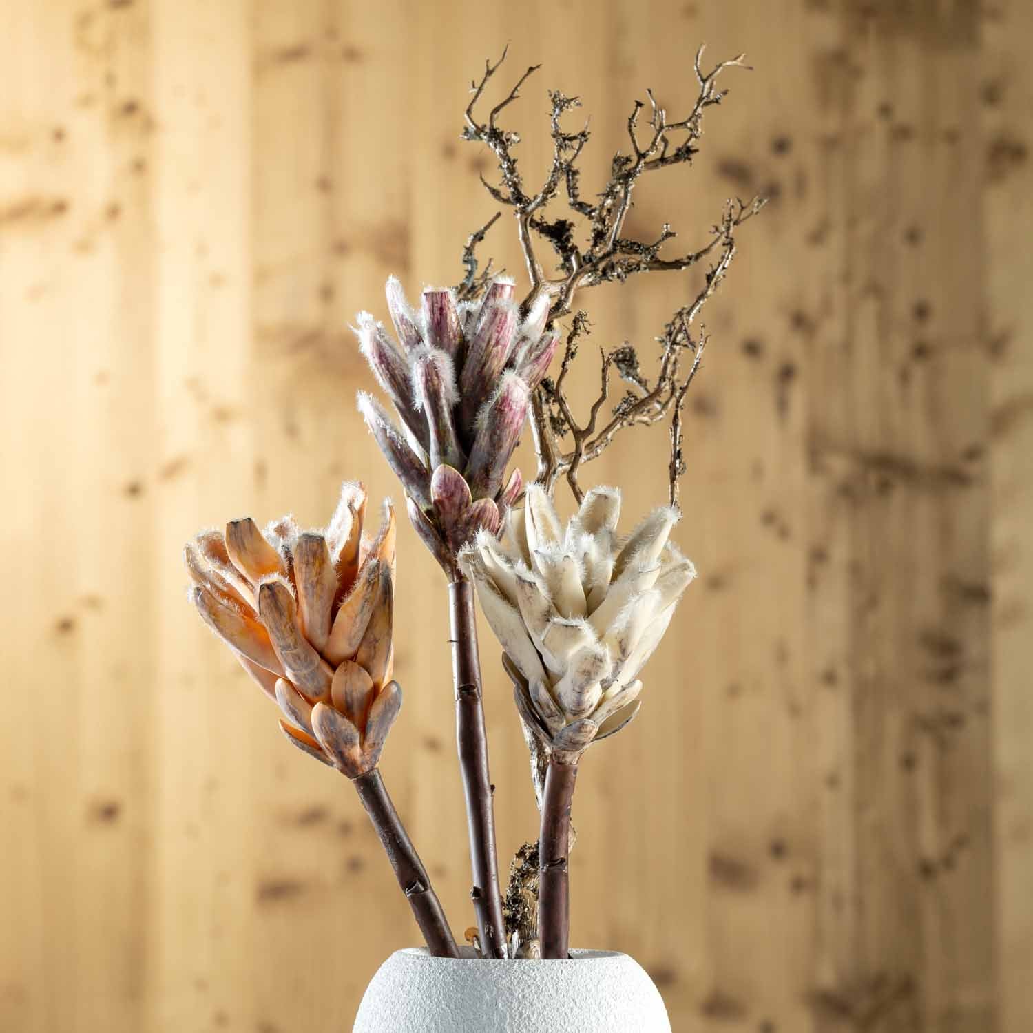Zweig FIORE in weißer Vase vor strukturiertem Hintergrund, braune und weiße Blüten