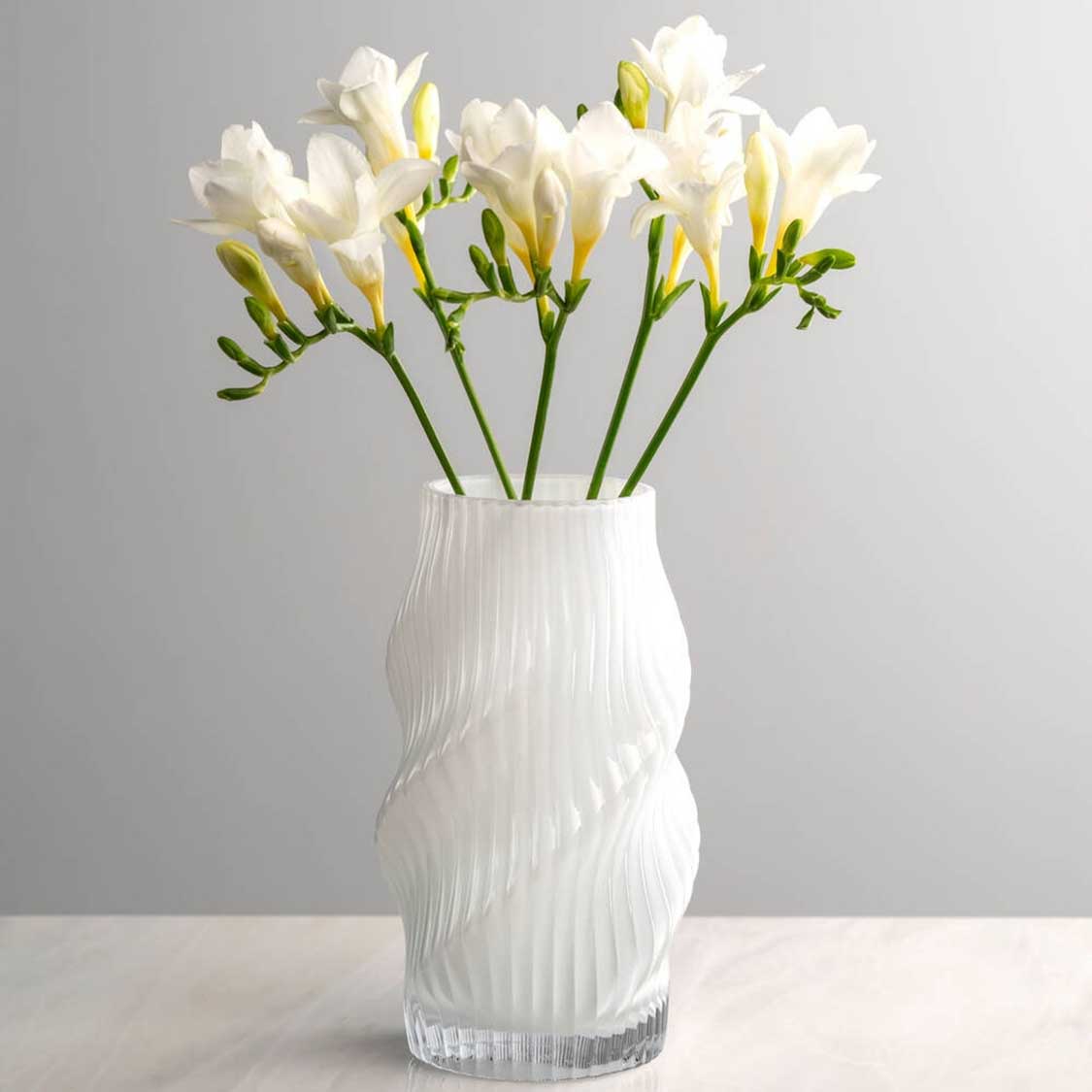 Vase VERDI mit weißen Freesien und grünen Knospen gefüllt