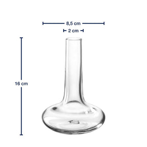 Massangaben zu Solifleurvase ARIA 16 cm