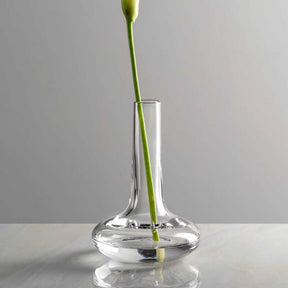 Solifleurvase ARIA mit einzelnem grünen Stiel in klarem Glas auf weißer Oberfläche