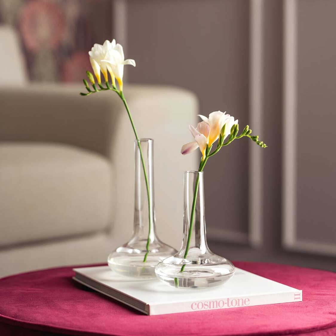 Solifleuren ARIA mit weissen Blüten in Wohnzimmer auf magentafarbenem Tisch