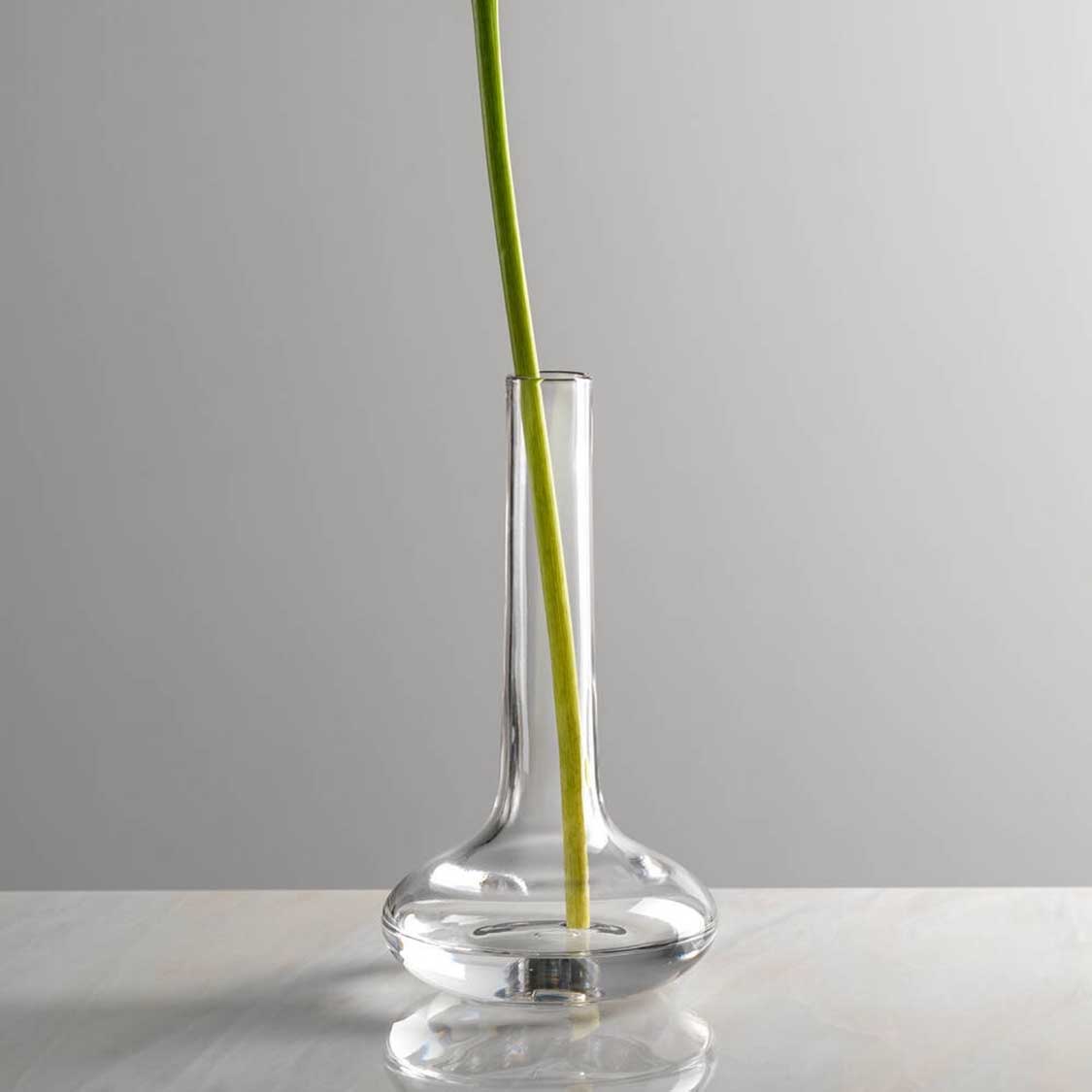 Solifleurvase ARIA mit grünem Stengel in klarem Glas auf weißer Oberfläche