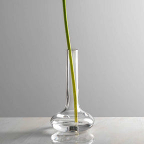 Solifleurvase ARIA mit grünem Stengel in klarem Glas auf weißer Oberfläche