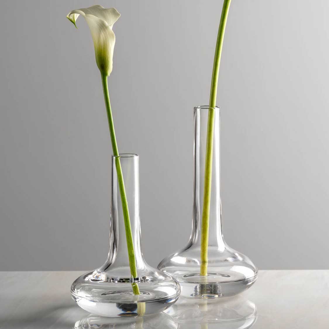 Zwei Solifleurvaser ARIA mit Blumenstielen in klarem Glas auf weisser Oberflaeche