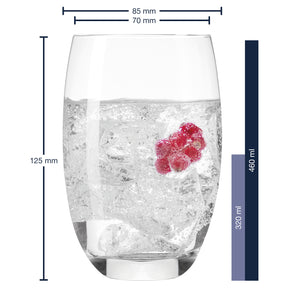 Massangaben zu Trinkglas CHEERS 460 ml