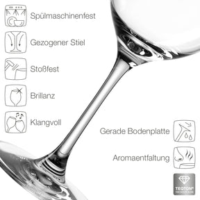 Rotweinglas CIAO+ mit Produkteigenschaften und Symbolen