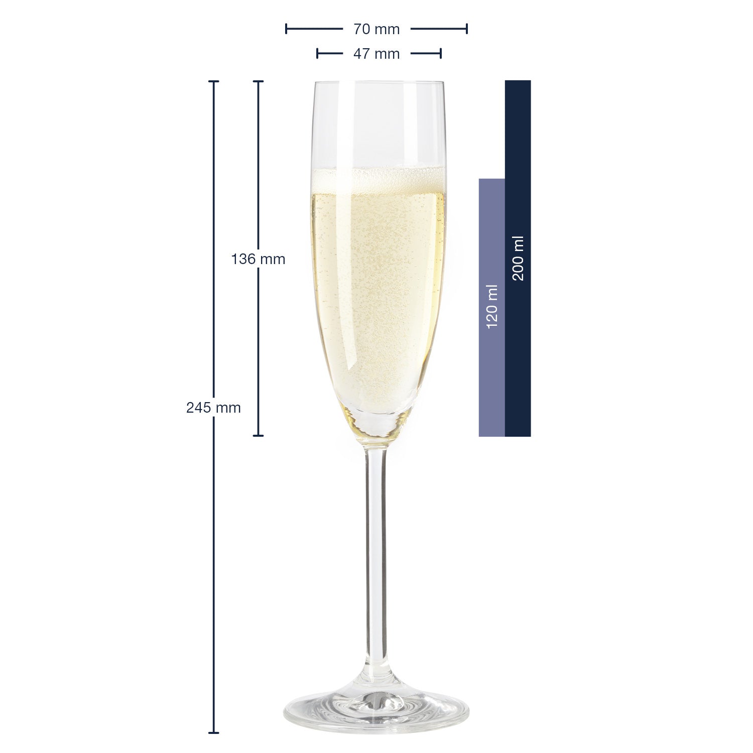 Massangaben zu Sektglas DAILY 200 ml 6er-Set