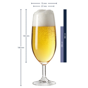 Massangaben zu Bierglas DAILY 360 ml