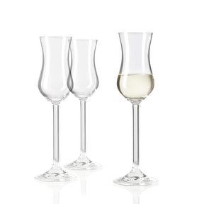 Grappaglas DAILY, zwei leere und ein gefülltes Glas nebeneinander