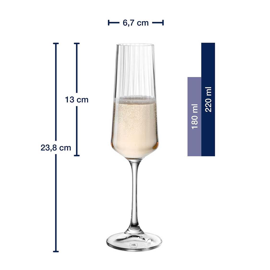 Massangaben zu Sektglas PAOLO 220 ml