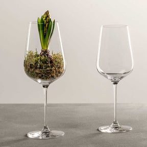 Zwei Weißweingläser BRUNELLI, eines mit Hyazinthe und Blumenerde gefüllt, eines leer